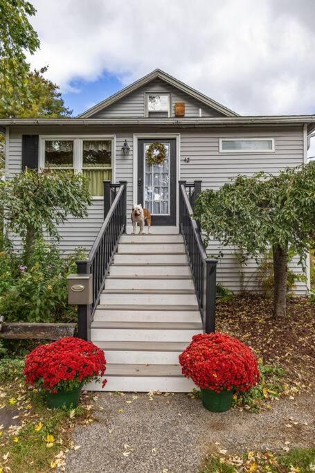 Single Family W/ Fenced In Yard Portland Exterior foto